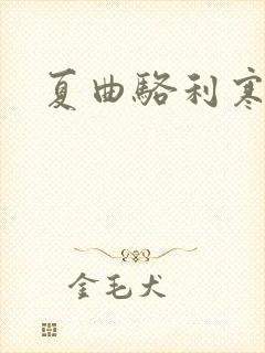 夏曲骆利寒小说