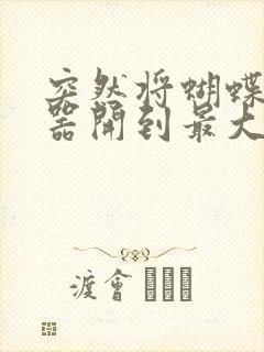 突然将蝴蝶遥控器开到最大