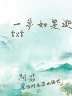 一梦如是逝水长txt