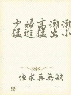 少妇高潮潮喷到猛进猛出小说