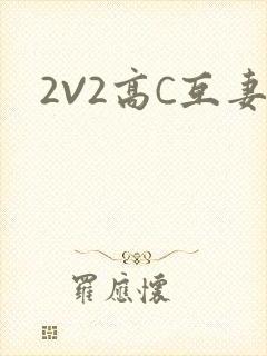 2V2高C互妻