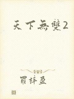 天下无双2