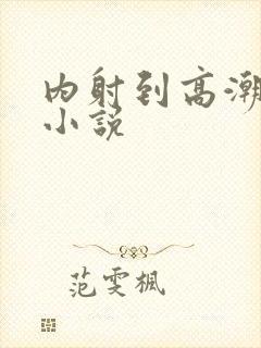 内射到高潮的H小说