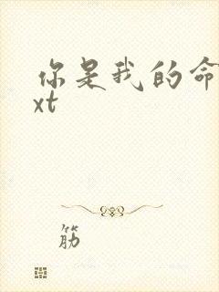 你是我的命运txt