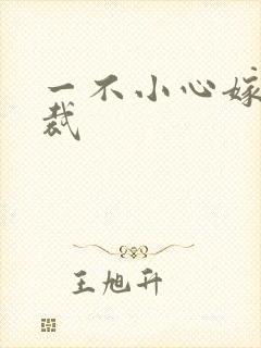 一不小心嫁给总裁