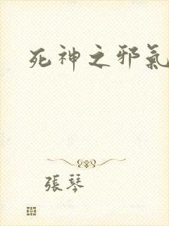 死神之邪气一护