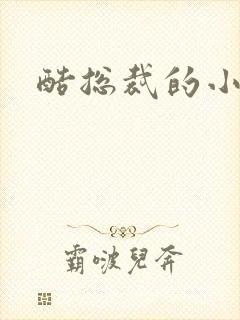 酷总裁的小女佣