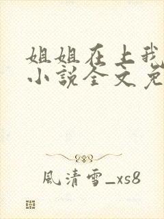 姐姐在上我在下小说全文免费阅读