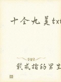十全九美txt