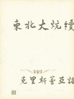 东北大炕续