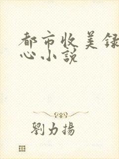 都市收美录宁素心小说