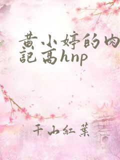 黄小婷的肉欲日记高hnp