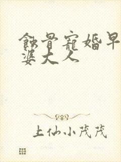 蚀骨宠婚早安老婆大人