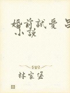 婚前试爱 吕颜 小说