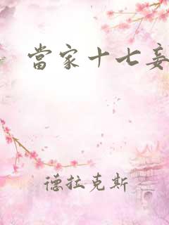 当家十七妾