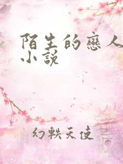 陌生的恋人原著小说