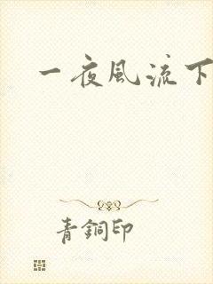 一夜风流下载