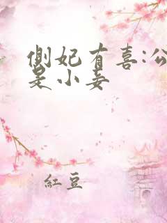 侧妃有喜:公主是小妾