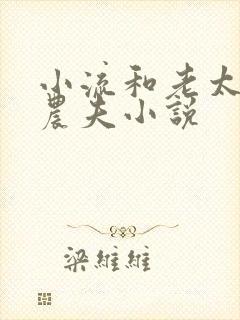 小流和老太69农夫小说