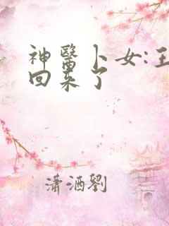 神医卜女:王妃回来了