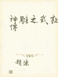 神雕之武敦儒大传