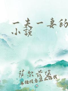 一夫一妻的玄幻小说