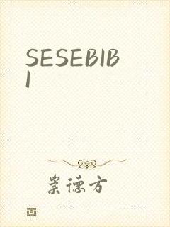 SESEBIBI