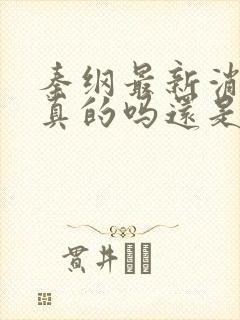 秦纲最新消息是真的吗还是假的