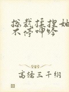 总裁揉捏她两乳不停呻吟