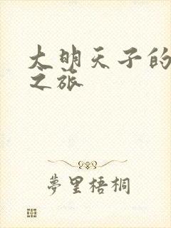 大明天子的清穿之旅