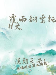 覆雨翻云纯肉高H文