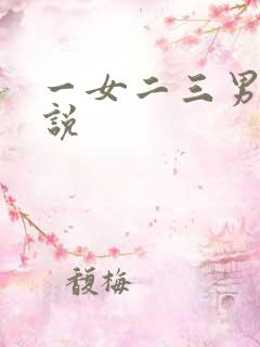 一女二三男事小说