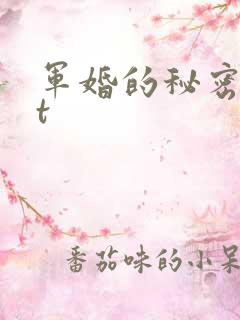 军婚的秘密txt