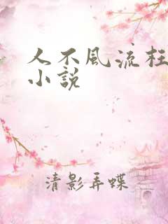 人不风流枉少年小说
