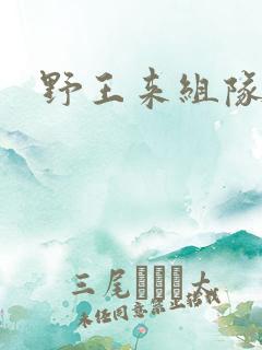 野王来组队小说