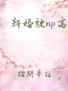 新婚被np高h