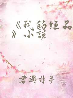 《我的绝品韵母》小说