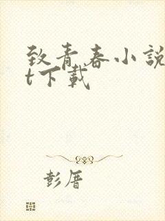 致青春小说txt下载