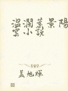 温澜叶景阳温云云小说