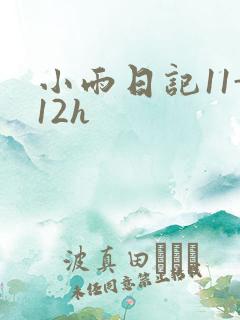 小雨日记11-12h