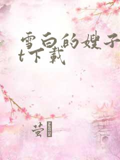 雪白的嫂子txt下载
