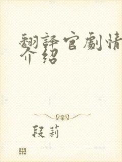 翻译官剧情分集介绍