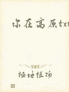 你在高原txt