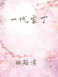 一代家丁
