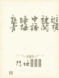 熟睡中被进了H青梅诱哄视频