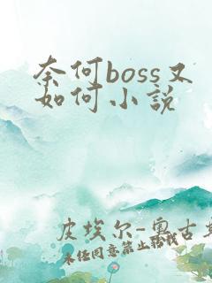 奈何boss又如何小说