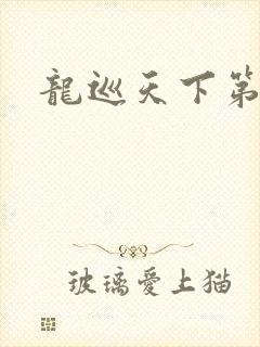 龙巡天下第四部