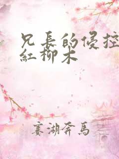 兄长的侵控by红柳木