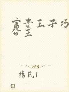 富贵王子巧遇穷公主