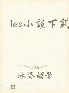 les小说下载